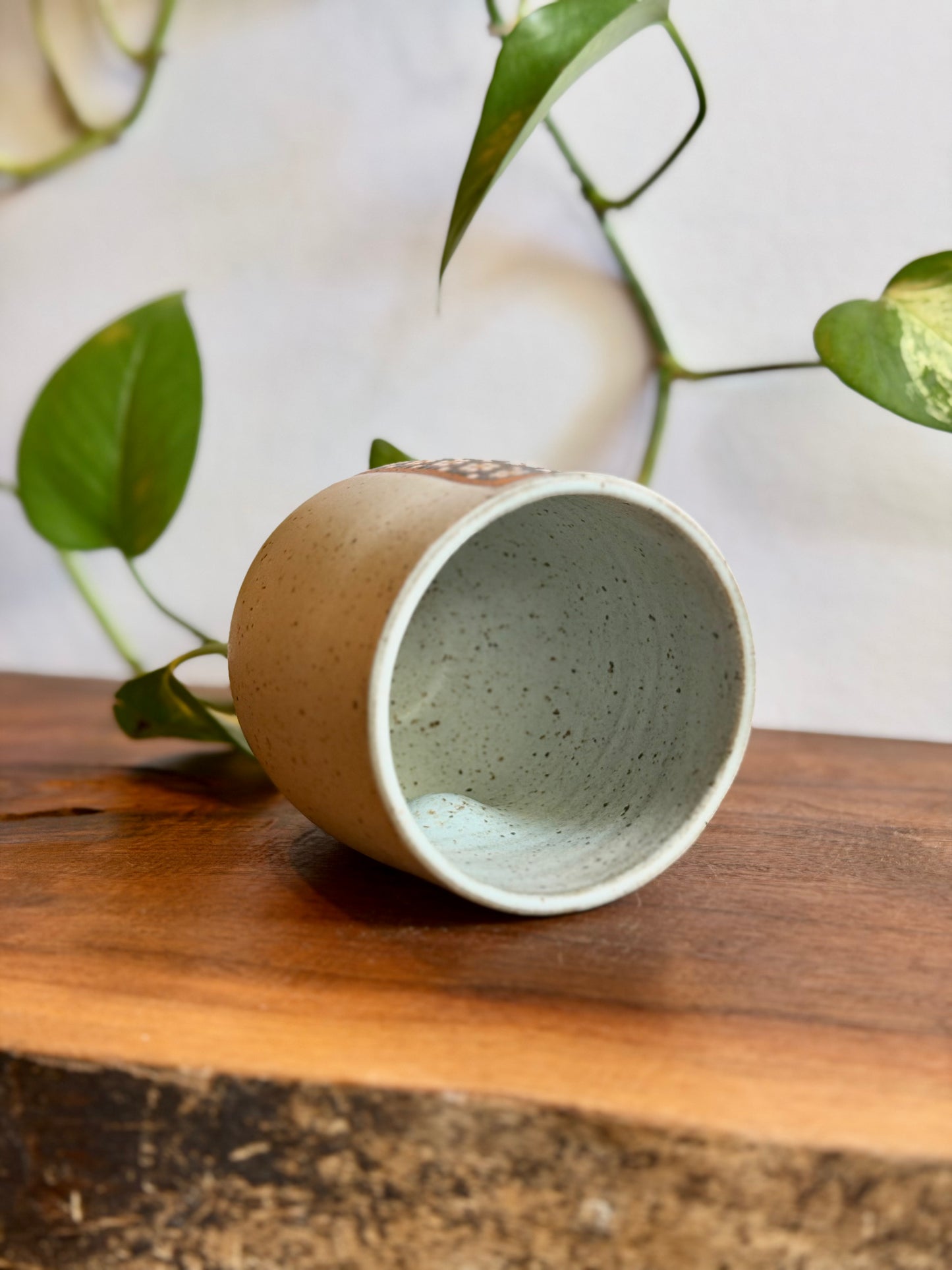 Matte Light Blue Tumbler #1