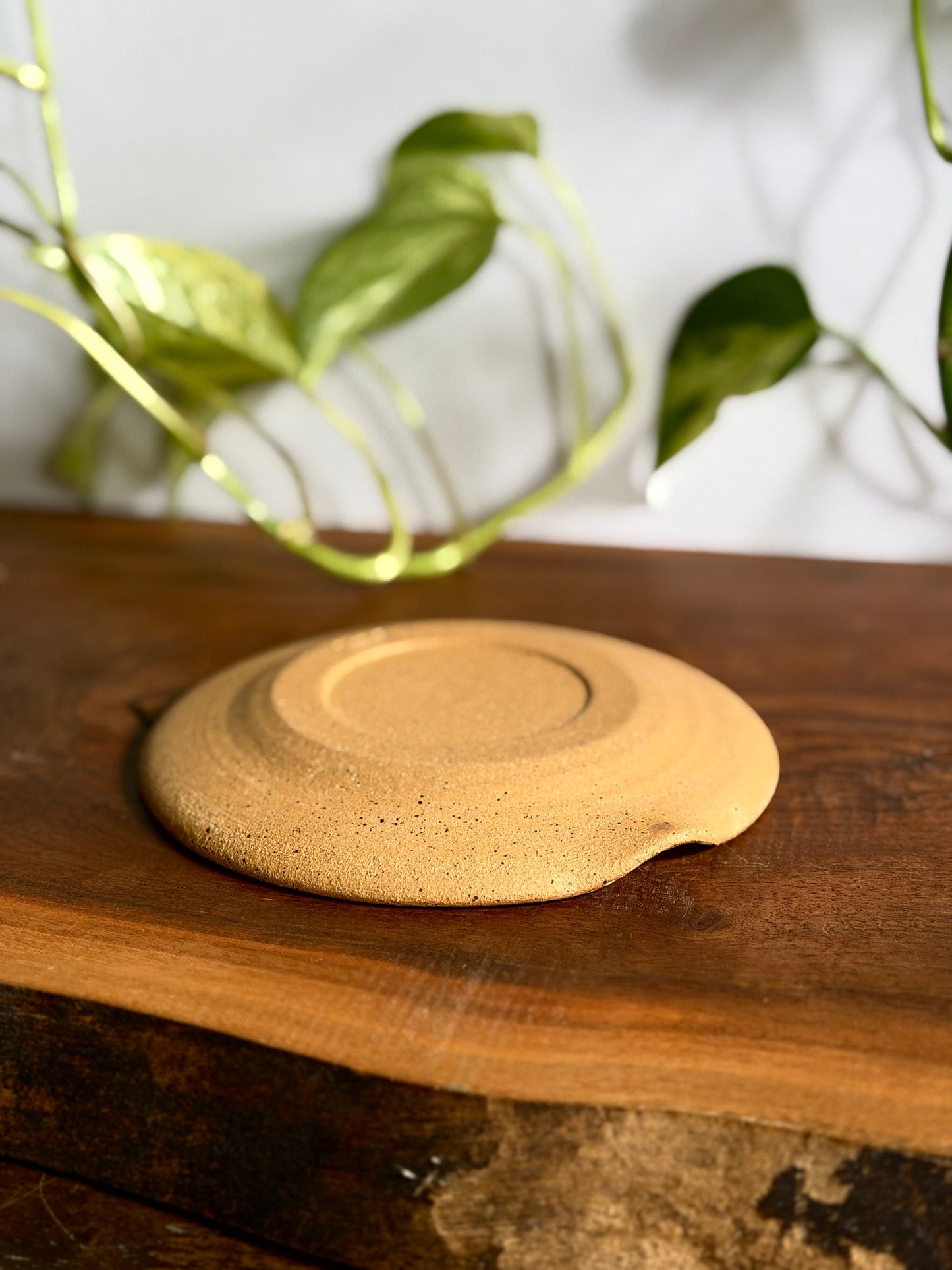Penny Tile Spoon Rest