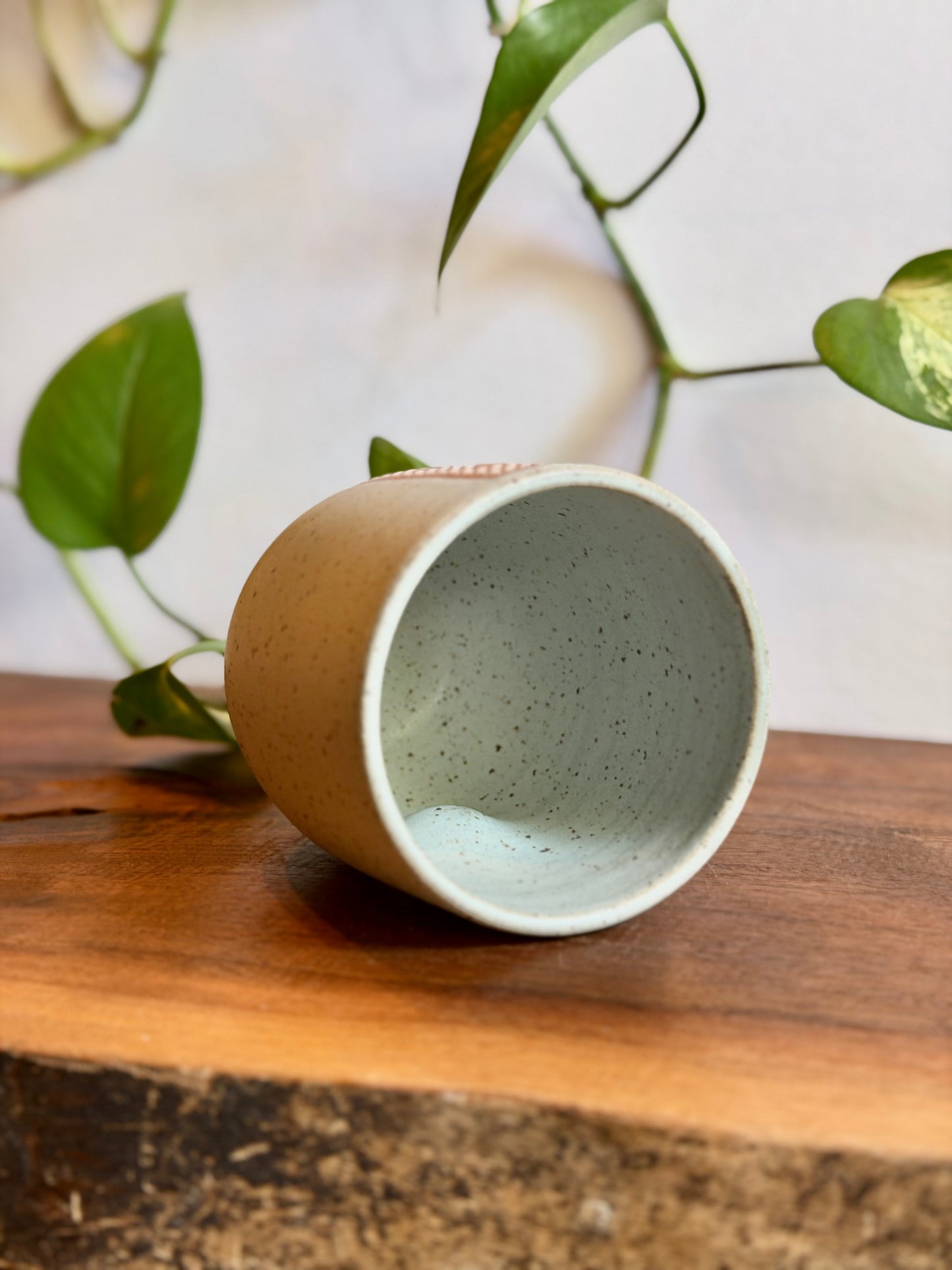 Matte Light Blue Ice Cream Tumbler